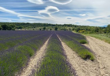 Trail Walking Montjoyer - Monrjoyer - Photo