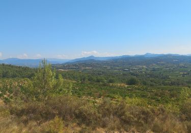 Excursión Senderismo Roaix - Roaix Abrigeaux - Photo