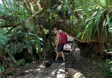 Tour Wandern Salazie - Trpu de fer belouve depuis hellbourg - Photo