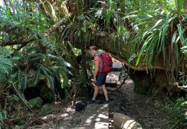 Trail Walking Salazie - Trpu de fer belouve depuis hellbourg - Photo