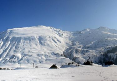 Tour Zu Fuß Andermatt - Golfrundweg - Photo