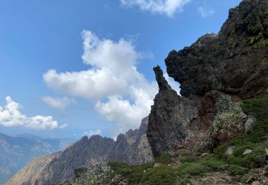 Tocht Stappen Calenzana - Ortu di u piobbu. Carozzu - Photo