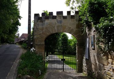 Trail Walking Auvers-sur-Oise - Auvers   Butry - Photo