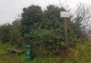 Trail Walking Cancale - cancale rue rimains pointe grouin 13km 300+- 3h45 - Photo