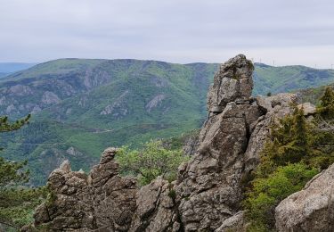 Tour Wandern Saint-Julien - Le tour des jasses : Bourdils Chavardes Landres Bramefan - Photo