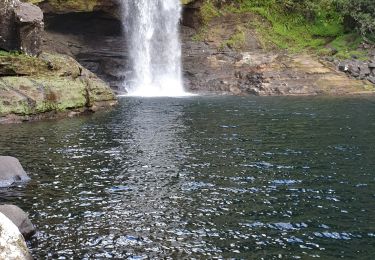 Tour Wandern Bras-Panon - Bassin La mer Bassin des Aigrettes depuis le parc de la rivière du Mât - Photo