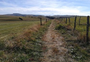 Trail Walking La Godivelle - La Godivelle - Photo