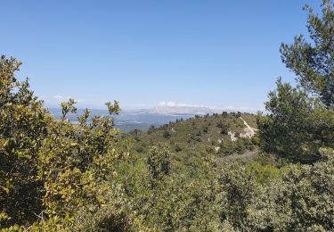 Tour Wandern Simiane-Collongue - Le pilon du Roy par Simiane - Photo