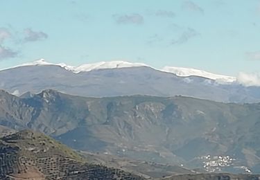 Trail Walking Nerja - Loma del Puesto Long - Photo