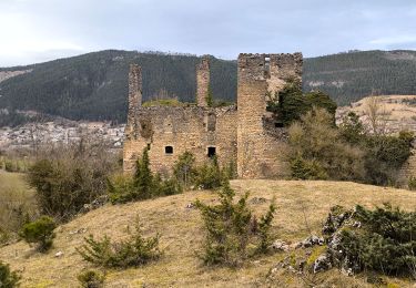 Tocht Stappen Saint-Bauzile - Rouffiac/la Truffière/Montialoux - Photo