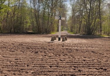 Excursión Senderismo Avilly-Saint-Léonard - randonnée en forêt de chantilly - Photo