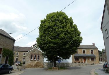 Tocht Te voet Anthisnes - AS06 Boucle des Sarts - Photo