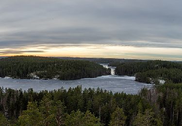 Excursión A pie Kouvola - Korpinkierros - Photo