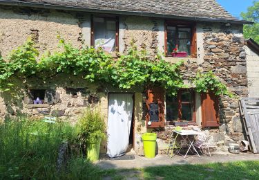 Trail Walking Nasbinals - COMPOSTELLE J7 - Photo