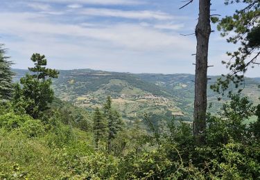 Randonnée Marche Alba-la-Romaine - Alba-la-Romaine 