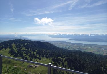 Trail Walking Prémanon - La Dôle 1677m 13.7.24 - Photo