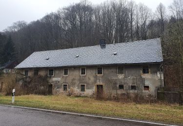 Percorso A piedi Glashütte - Gelber Strich - Photo