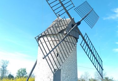 Randonnée Vélo électrique Molières - MOLIÈRES 09042023 - Photo
