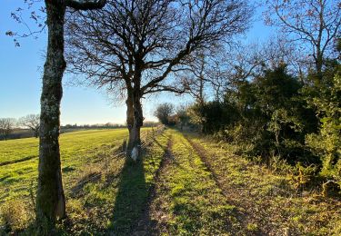 Tocht Stappen Cabrerets - Merlan c - Photo