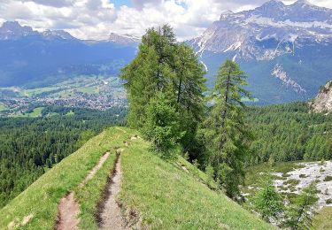 Excursión A pie Cortina d'Ampezzo - IT-204 - Photo