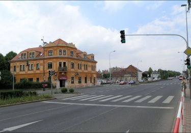 Tour Zu Fuß  - [Ž] Purkrabský háj - Divoká Šárka - Photo