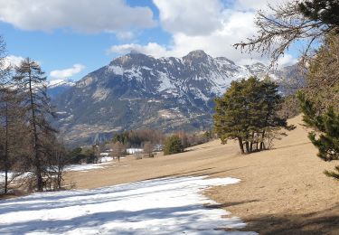 Tour Wandern Les Thuiles - les Thuiles/les pras - Photo