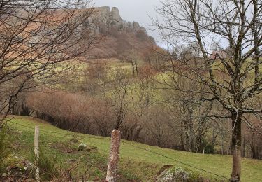 Tour Wandern Mandailles-Saint-Julien - Roches folles - Photo