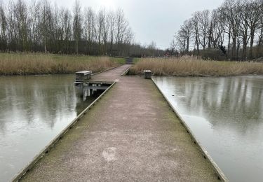 Excursión Senderismo Cortrique - Marke Kortrijk 15km groene gordel - Photo