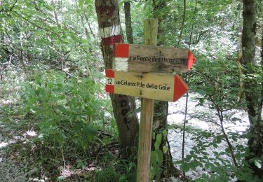 Percorso A piedi Ovindoli - Ponticello di Val D'Arano - Prato di Cerro - Photo