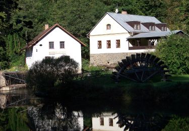 Percorso A piedi Malšice - [Z] Dražičky - Matoušovský mlýn - Photo