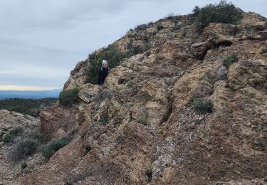 Percorso Marcia Fréjus - Sortie du lundi 8 janvier aprés-midi - Photo