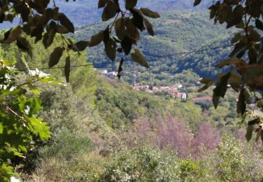 Randonnée Marche Reynès - taillet ( vallespir ) - Photo