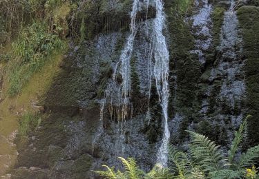 Trail Walking Vagney - Le Haut du Tôt - Photo