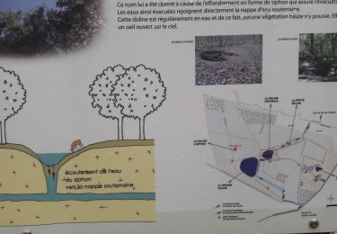 Trail Walking Ardon - ardon limere - Photo