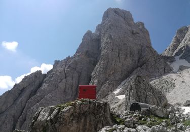 Randonnée A pied Tarvisio - Sentiero Re di Sassonia - Photo