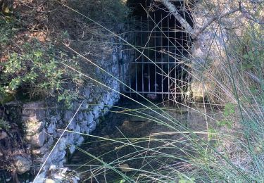 Tour Wandern La Motte-d'Aigues - La Motte d’aigues mirail Sarriere  - Photo