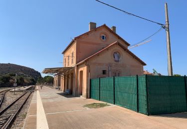 Randonnée A pied Santa-Reparata-di-Balagna - Reparata-Ile Rousse - Photo