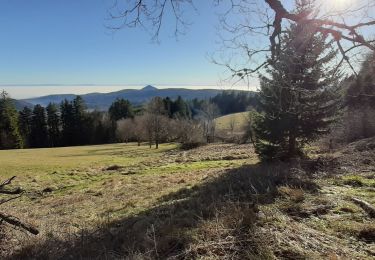 Tocht Stappen Ottrott - la Rothlach la Serva - Photo