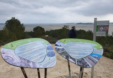 Tocht Stappen Peyriac-de-Mer - Peyriac. PR des crêtes variantes - Photo