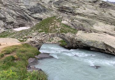 Excursión Senderismo Bonneval-sur-Arc - Refuge des Evettes/ Glacier du Grand Méan - Photo