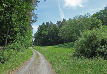 Tour Zu Fuß Oberaurach - Rundweg Oberaurach O 2 - Photo