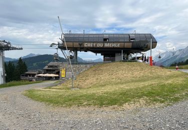 Tocht Stappen La Clusaz - Sud Aravis - Photo