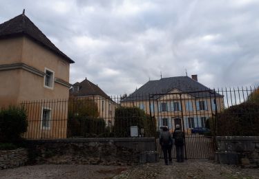 Tour Wandern Avignonet - Circuit des 3 Châteaux - Photo
