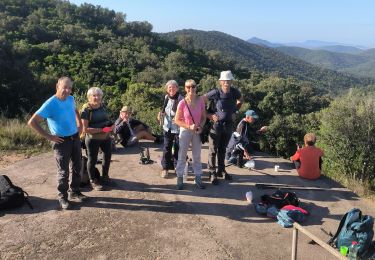 Excursión Senderismo Hyères - les borrel3 - Photo