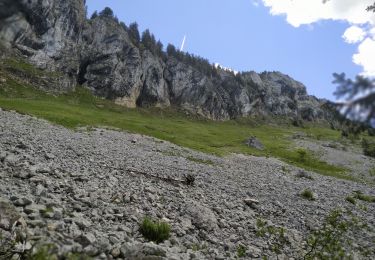 Tour Wandern Saint-Pierre-d'Entremont - Rando ANF - Le Petit Som (1772m) en boucle par le Col de Léchaud et le Col de Bovinant - Photo