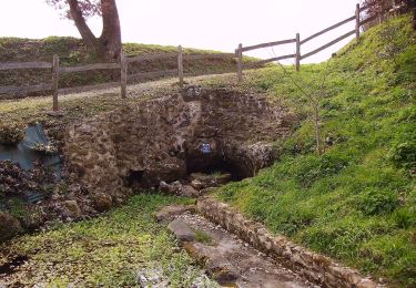 Randonnée A pied Bourgnac - Boucle des 9 Fonts - Photo