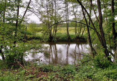 Trail Walking Rochefort - Jamblinne - Photo