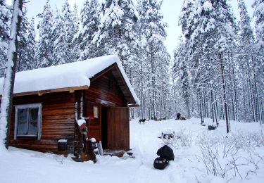 Excursión A pie Suomussalmi - Kokalmuksen Kierros - Photo