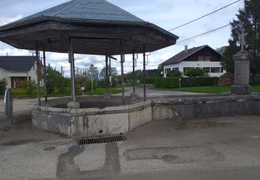 Percorso Marcia Bonnétage - Bonnétage moulin de l'étang  - Photo