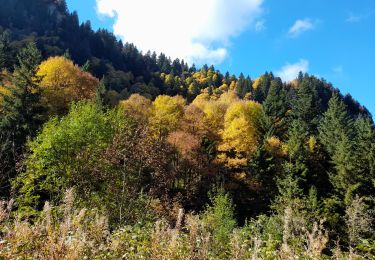 Trail Walking La Roche-sur-Foron - sur cou... 